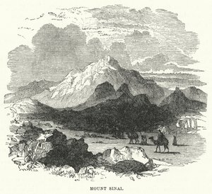 Mount Sinai (engraving) 作者 英语学校