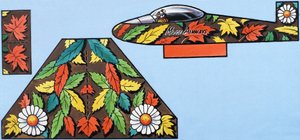 鼠标航空公司 作者 英语学校