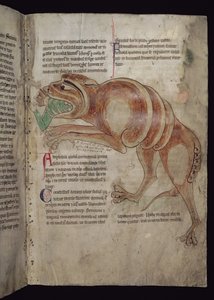 Ms.254 f.24 r Cocodrillus吞咽一个男人 作者 英语学校