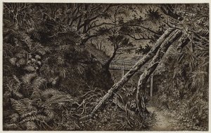 穆格雷夫森林，惠特比附近（平版） 作者 英语学校