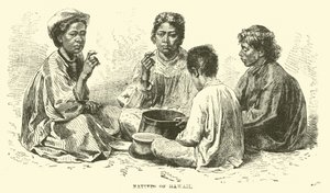 夏威夷的原住民 作者 英语学校