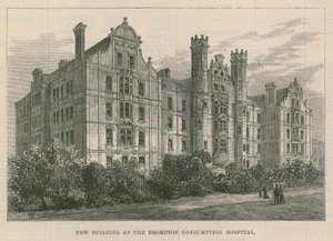 伦敦布朗普顿消费医院的新建筑 作者 英语学校