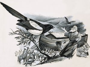 诺亚方舟 作者 英语学校