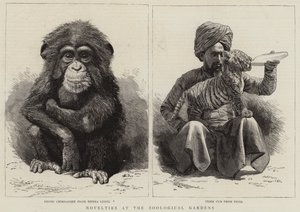 动物园的新奇事物（版画） 作者 英语学校