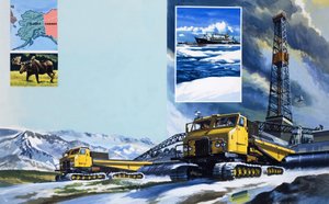 油急！ 作者 英语学校