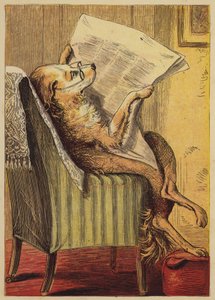 Old Mother Hubbard (coloured engraving) 作者 英语学校