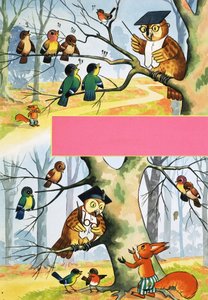 猫头鹰教其他鸟类 作者 英语学校