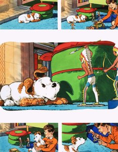 稻田爪子 作者 英语学校