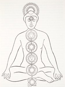 Padmasana或莲花的位置 作者 英语学校