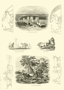 来自动画自然画报博物馆的页面 作者 英语学校