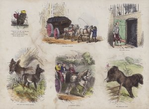 精美图画书页（彩色雕刻） 作者 英语学校