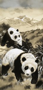 大熊猫 作者 英语学校