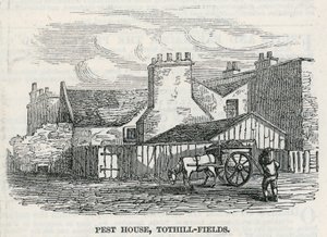 害虫之家，Tothill Fields 作者 英语学校