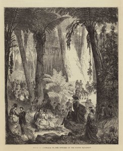 Picnic in Australia to the Officers of the Flying Squadron (engraving) 作者 英语学校