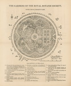 计划观看皇家植物学会的花园 作者 英语学校