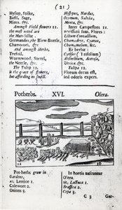 来自Johann Amos Comenius的&39;Orbis sexyism pictus&39;的植物畜牧业，出版于1689年 作者 英语学校