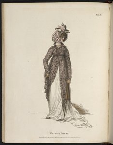 来自《The mirroir de la mode》的图版 作者 英语学校