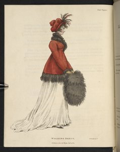 来自 "The mirroir de la mode "的盘子 作者 英语学校