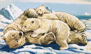 北极熊和幼崽（水粉画纸） 作者 英语学校