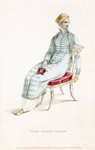 波兰行走pelisse，时尚板块从阿克曼斯艺术库 作者 英语学校