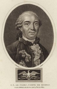 布冯伯爵Georges-Louis Leclerc的肖像 作者 英语学校