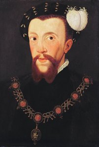 亨利霍华德的肖像，1546年