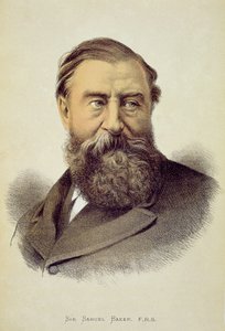 塞缪尔贝克爵士的肖像（1821-93）