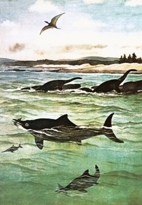 史前海洋生物 作者 英语学校
