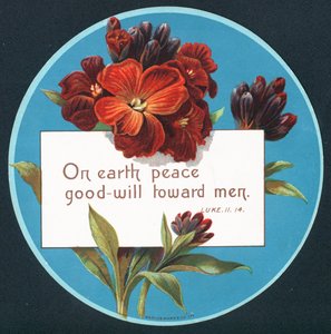 报春花，圣诞贺卡（chromolitho） 作者 英语学校