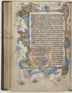 带有 Sarum 的 Psalter 使用日历，c.1425-75（牛皮纸上的墨水、油漆和金色） 作者 英语学校