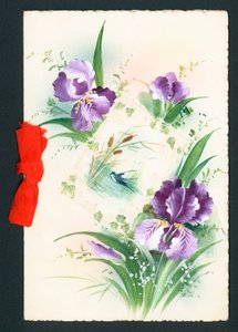 紫色鸢尾花，卡片 作者 英语学校