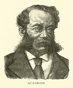 quadroon 作者 英语学校