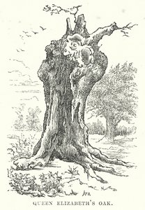 伊丽莎白女王的橡树（雕刻） 作者 英语学校