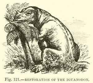 Iguanodon的恢复 作者 英语学校