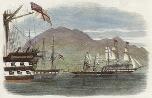 将小鹰归还香港 作者 英语学校