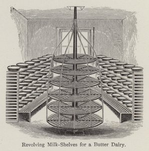 用于黄油乳制品的旋转牛奶架（石版画） 作者 英语学校