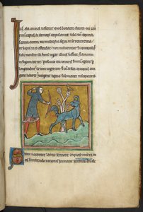 皇家 12 F.XIII，f.16 猎人向动物射箭。 动物图鉴（页 3-141），宝石图鉴（页 141v-149） 13 世纪第二季度 作者 英语学校