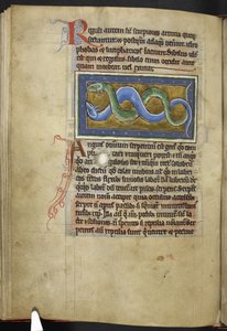 皇家 MS 12 C XIX，f.63v Anguis，选自《兽类志》，约 1200-10 年（牛皮纸上的墨水、彩色和金色）。 作者 英语学校
