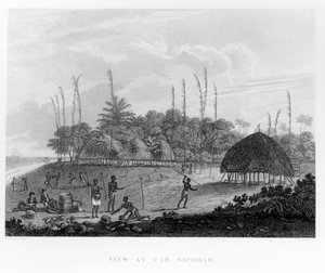 水手在Car Nicobar收集资料，从Voyages and Travels到印度，锡兰，红海......由George，Viscount Valentia出版，1809年出版 作者 英语学校