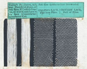 Urlings蕾丝（纺织品）样品 作者 英语学校