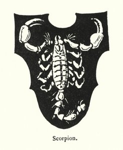 蝎子（雕刻） 作者 英语学校