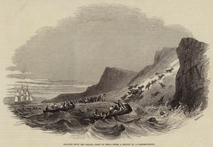 Sea-Lion hunt off Callao, Coast of Peru (engraving) 作者 英语学校