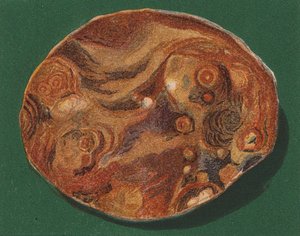 海滨卵石（彩色石版印刷） 作者 英语学校