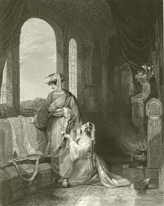 Selim＆Zuleika 作者 英语学校