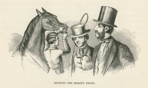 展示马的牙齿（雕刻） 作者 英语学校