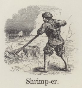 虾兵蟹将(刻字) 作者 英语学校