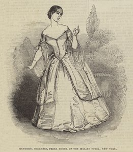 Signorina Borghese，纽约意大利歌剧院的第一位女士 作者 英语学校