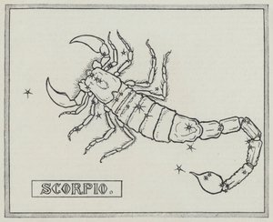 黄道十二宫: 天蝎座 (雕刻) 作者 英语学校