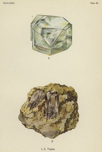 硅酸盐，黄玉（彩色平版印刷品） 作者 英语学校