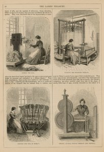 丝绸生产 作者 英语学校